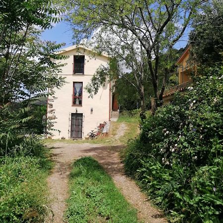 Stellaria Casa Vacanze In Montagna Panorama Stupendo Sardegna Seulo Exterior photo