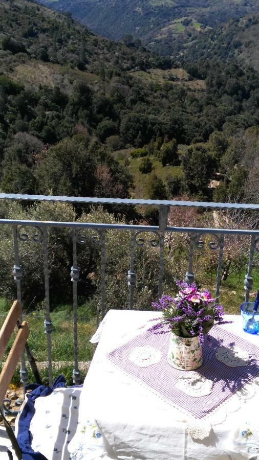Stellaria Casa Vacanze In Montagna Panorama Stupendo Sardegna Seulo Exterior photo