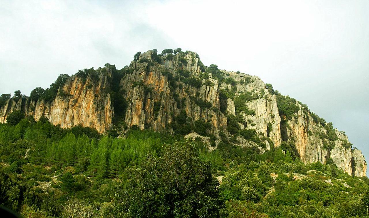 Stellaria Casa Vacanze In Montagna Panorama Stupendo Sardegna Seulo Exterior photo